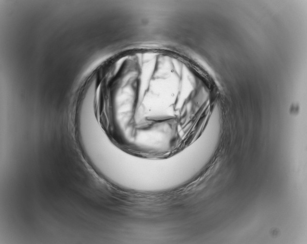 X0000101961456200808151304