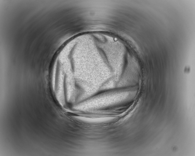 X0000101961457200808151304