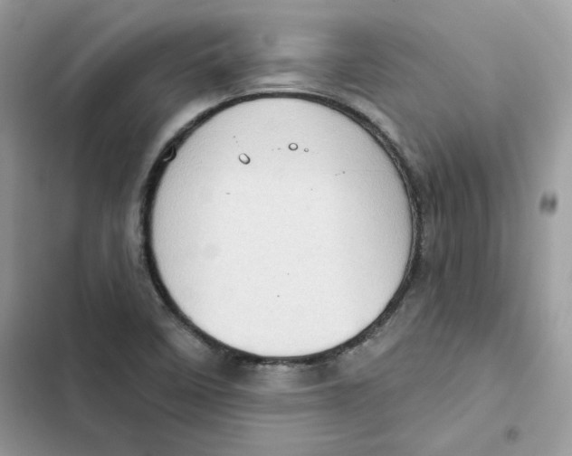X0000101961458200808151304