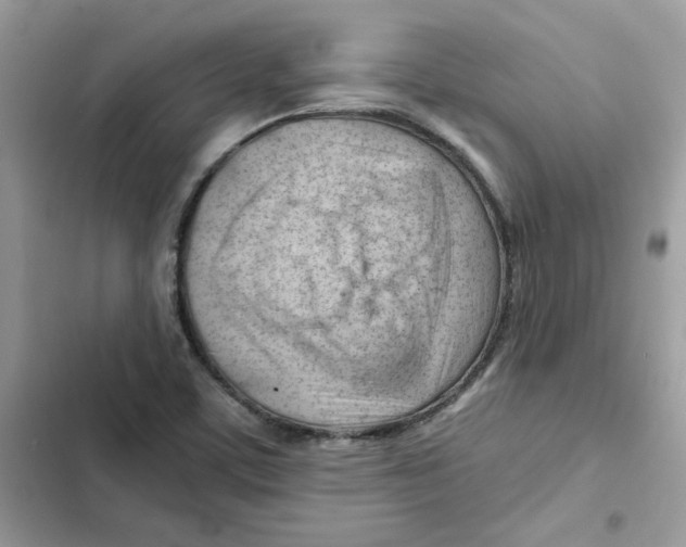 X0000101961459200808151304