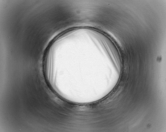 X0000101961460200808151304