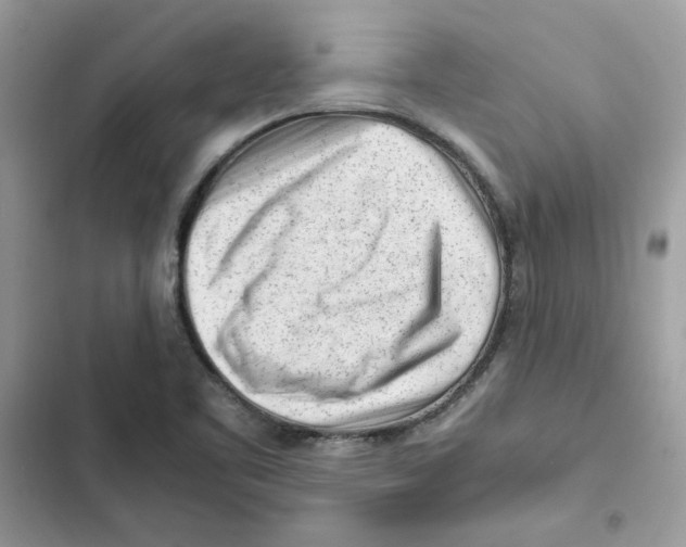 X0000101961461200808151304