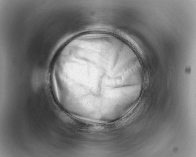 X0000101961462200808151304