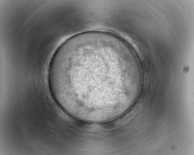 X0000101961463200808151304