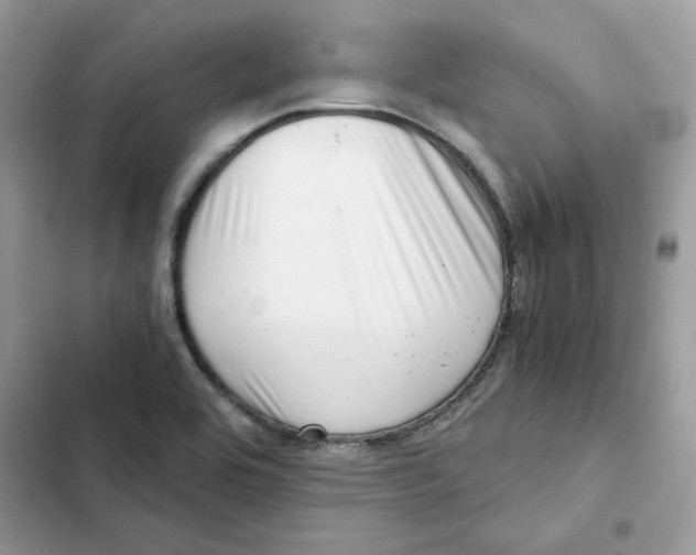 X0000101961464200808151304