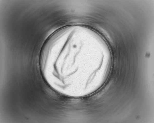 X0000101961465200808151304