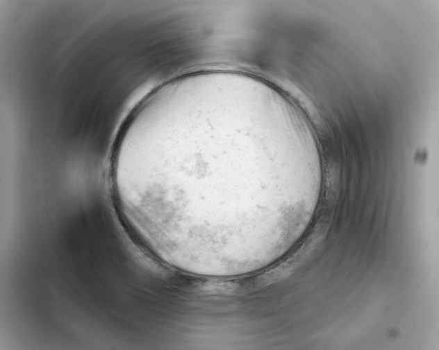X0000101961466200808151304