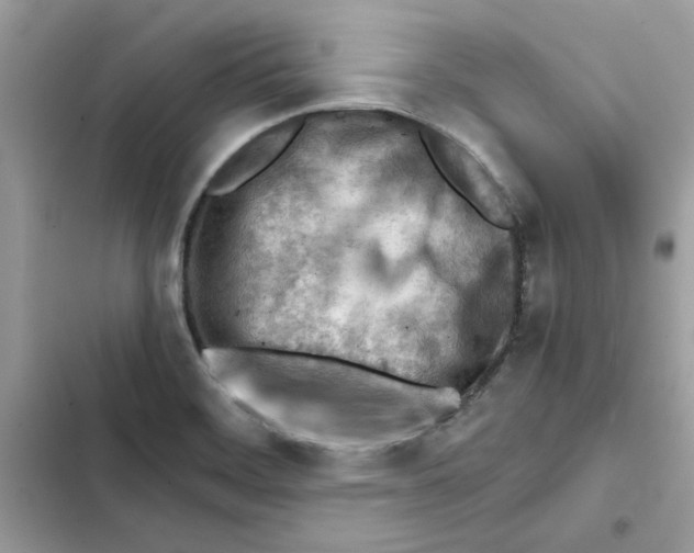 X0000101961468200808151304