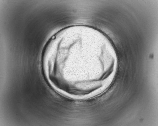 X0000101961469200808151304