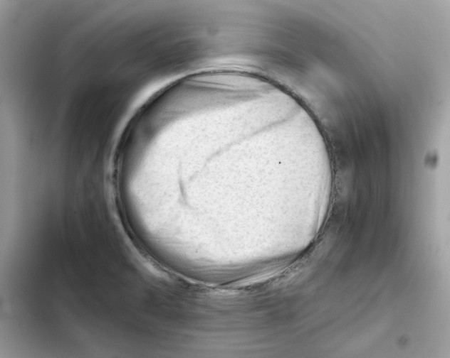 X0000101961470200808151304