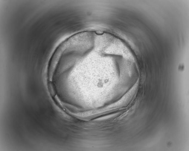 X0000101961471200808151304