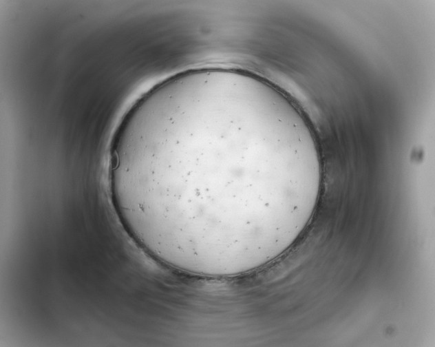 X0000101961472200808151304
