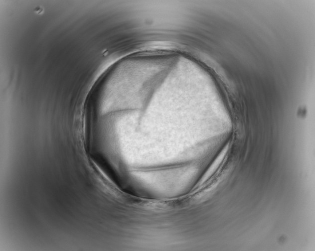 X0000101961473200808151304