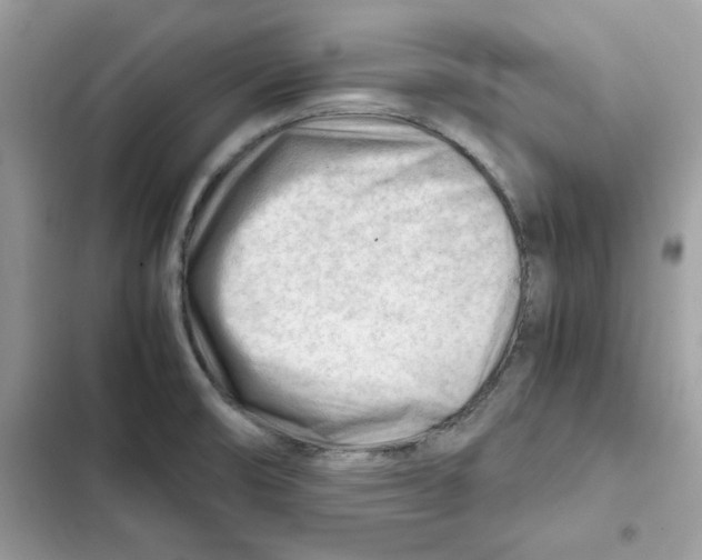 X0000101961474200808151304