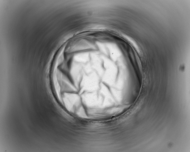 X0000101961475200808151304