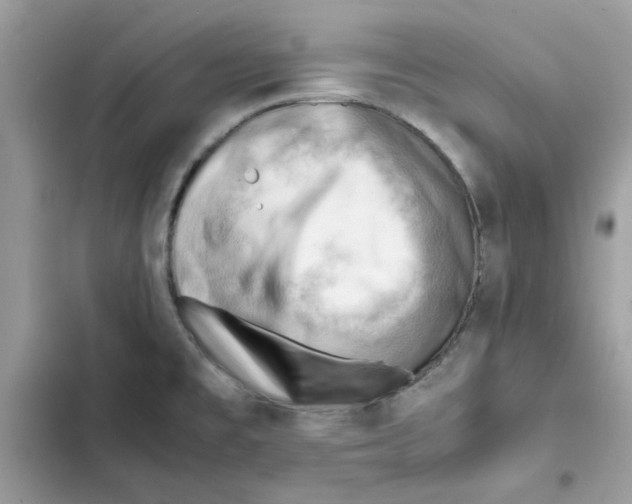 X0000101961477200808151304