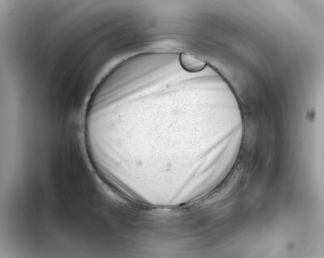 X0000101961478200808151304