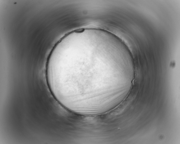 X0000101961480200808151304