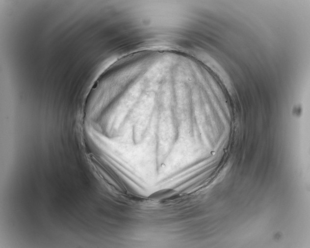 X0000101961481200808151304