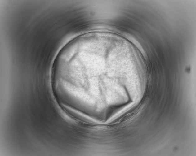 X0000101961482200808151304