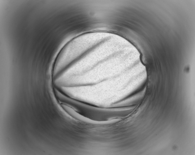 X0000101961483200808151304