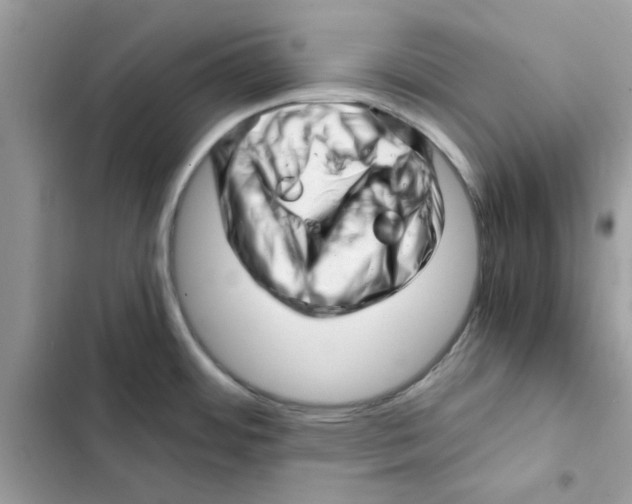 X0000101961484200808151304