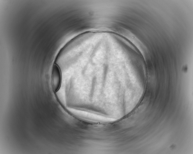 X0000101961485200808151304