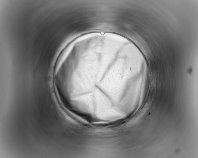 X0000101961486200808151304
