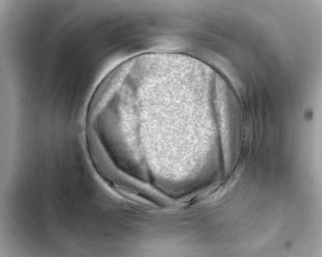 X0000101961487200808151304
