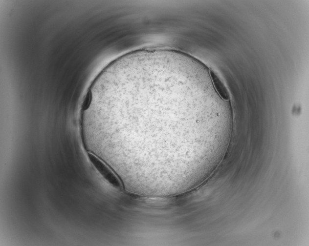 X0000101961488200808151304