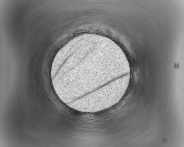X0000101961489200808151303