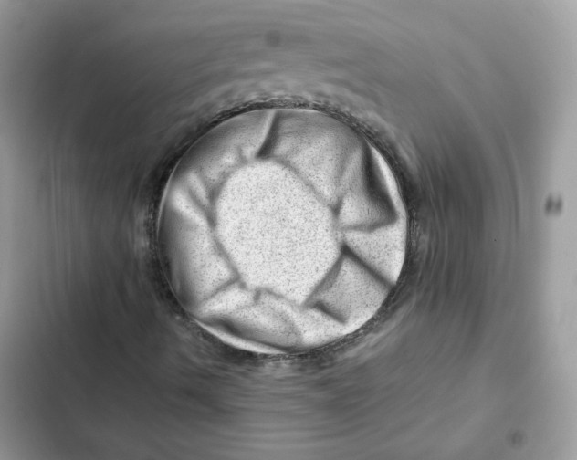 X0000101961490200808151303