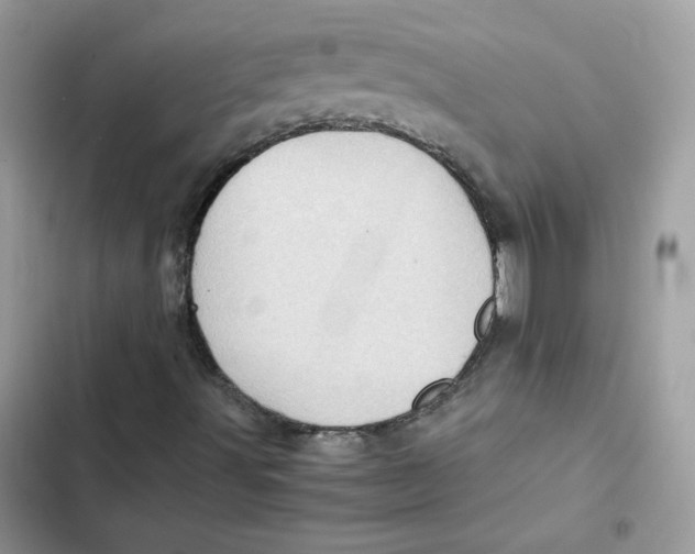 X0000101961491200808151303