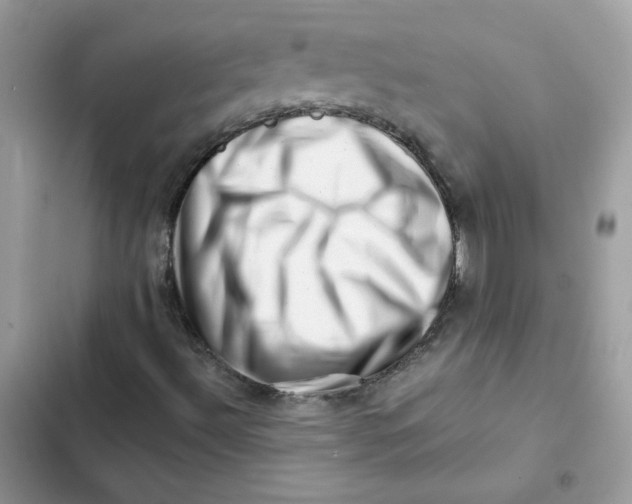 X0000101961492200808151303