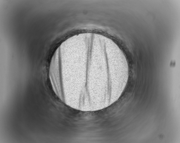 X0000101961493200808151303