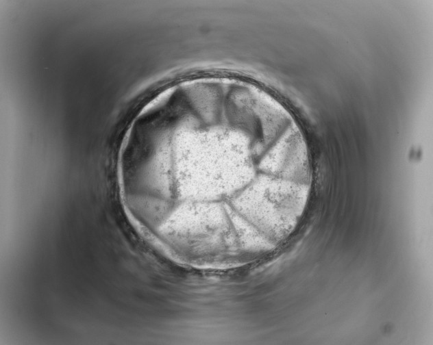 X0000101961494200808151303