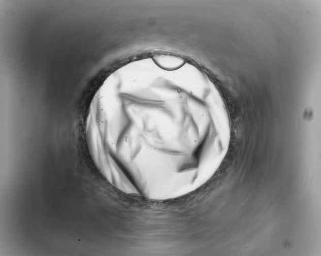 X0000101961495200808151303