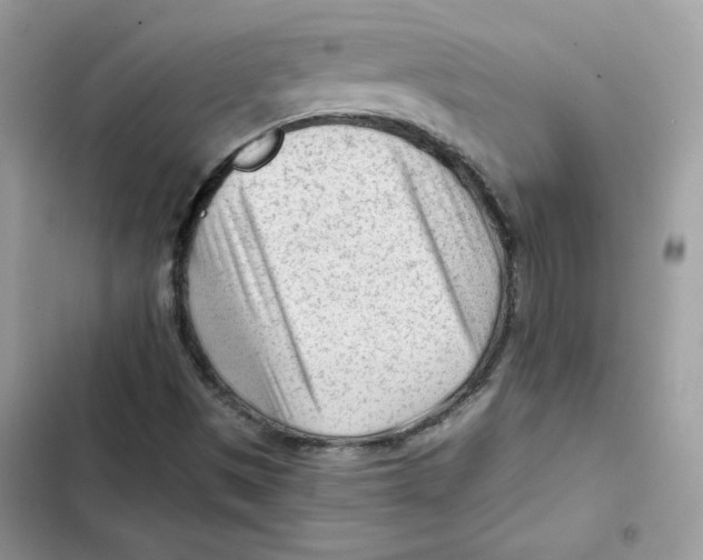X0000101961497200808151303