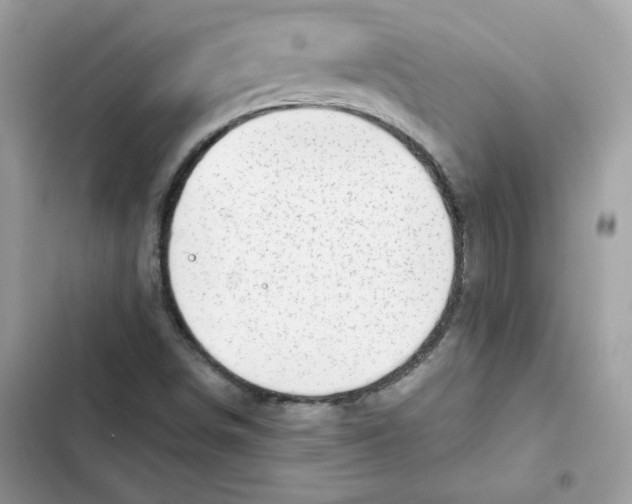 X0000101961498200808151303