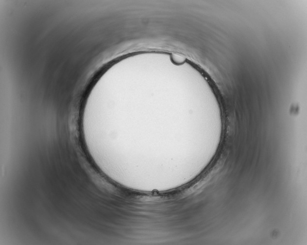 X0000101961499200808151303