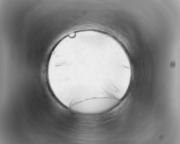 X0000101961500200808151303
