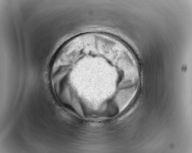 X0000101961501200808151303