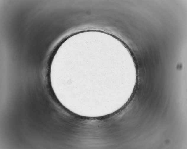 X0000101961502200808151303