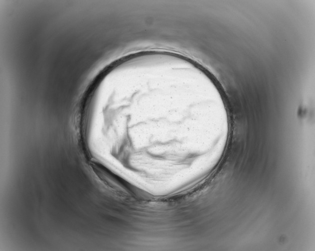 X0000101961503200808151303