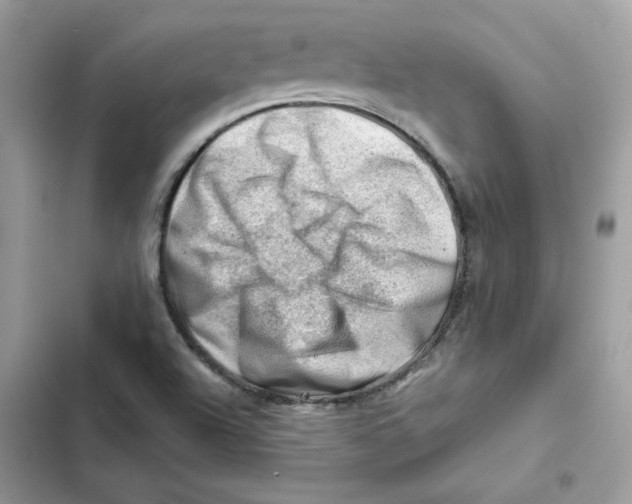 X0000101961504200808151303