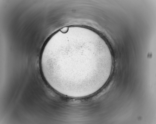 X0000101961505200808151303