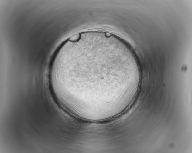 X0000101961506200808151303