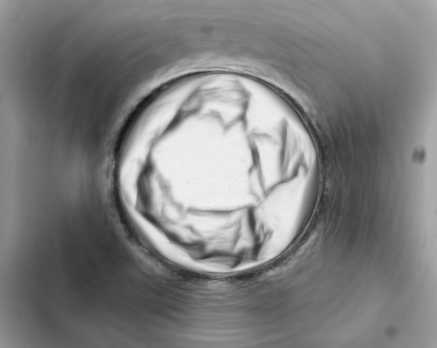 X0000101961507200808151303