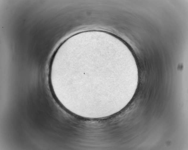 X0000101961508200808151303