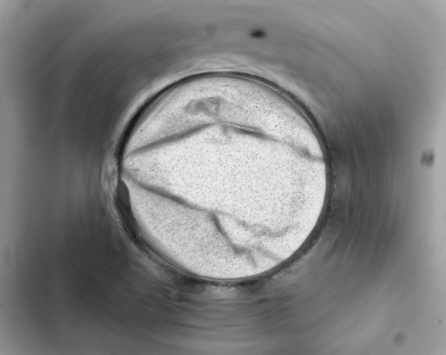 X0000101961509200808151303